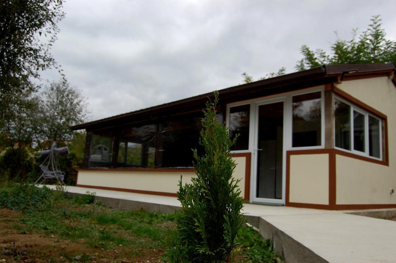 Vila Phoenix Călimăneşti エクステリア 写真