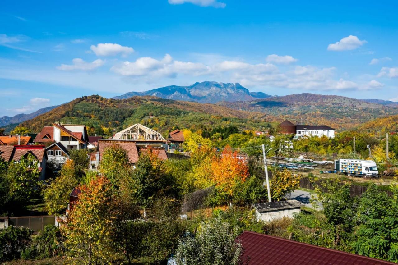 Vila Phoenix Călimăneşti エクステリア 写真