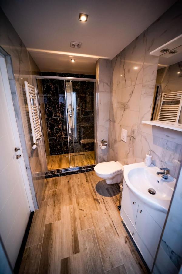 Vila Phoenix Călimăneşti エクステリア 写真