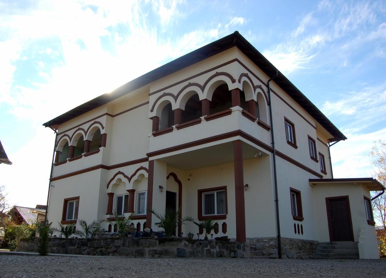 Vila Phoenix Călimăneşti エクステリア 写真