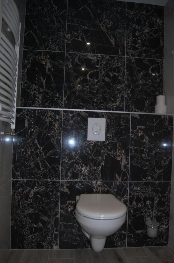 Vila Phoenix Călimăneşti エクステリア 写真