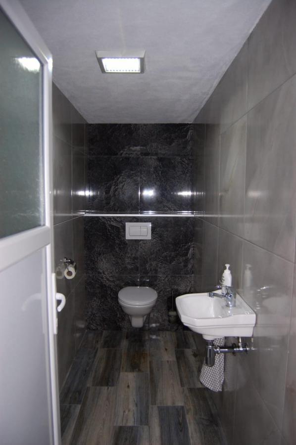Vila Phoenix Călimăneşti エクステリア 写真